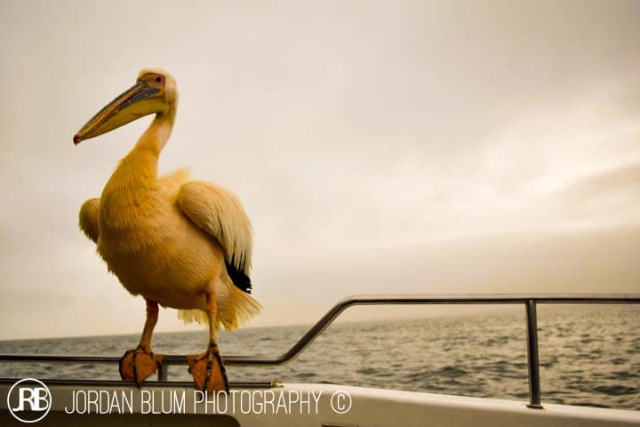 Photograph by Jordan Blum, frame 25