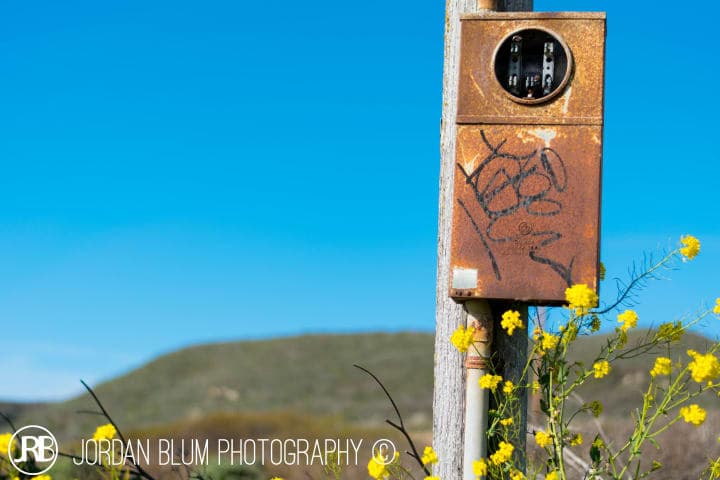 Photograph by Jordan Blum, frame 2