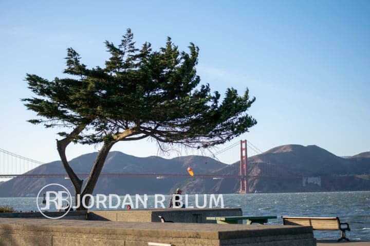 Photograph by Jordan Blum, frame 92